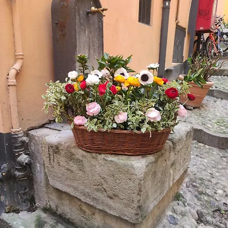 “ Nel Vecchio Carruggio” San Remo